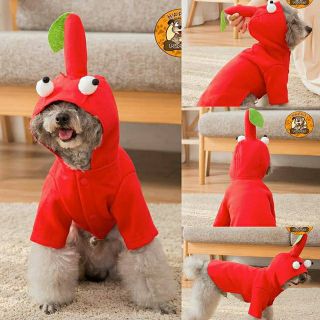 Apple Everyday Pet Hoodie Dog Cat Clothes Cute Costume Dress Onesie