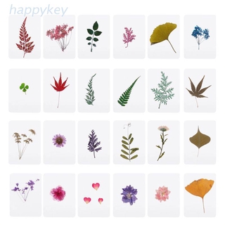 HAP Mix Pressed Flower Leaves Plant Specimen Fillers for Epoxy Resin Jewelry Making