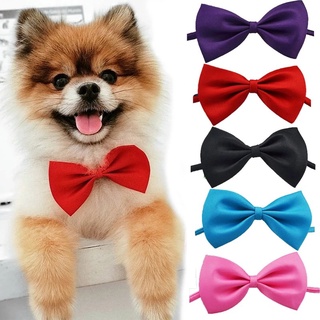 Fashion Pet Dog Cat Bow Tie Necklace Adjustable Strap for Cat Puppy Grooming Accessories Pet Dog Bow