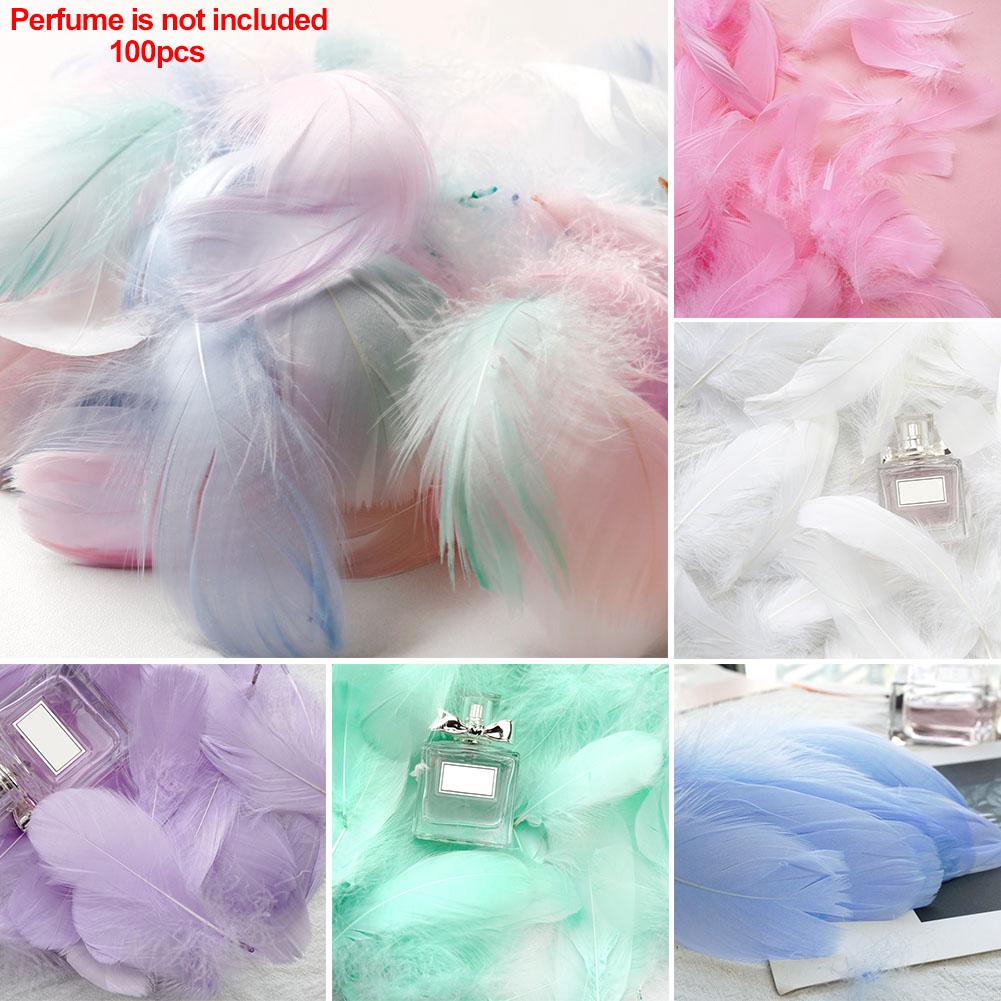 100Pcs/Pack Multi Color DIY Elegant Party Studio Feather