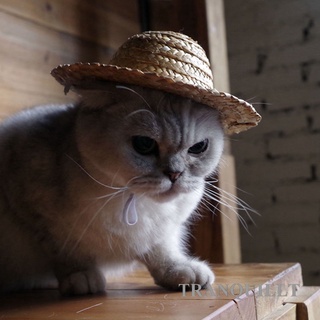 tranquillt Novelty Summer Adjustable Pet Dog Outdoor Straw Hat Puppy Small Cat Sunhats