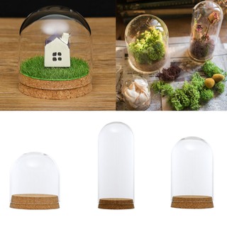 【READY STOCK】Decorative Clear Glass Cloche Bell Jar Display Case Cover with Rustic Wood Base Tabletop Centerpiece Dome Terrarium Container (6)