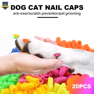 LS 20Pcs Colorful Cat Nail Caps Soft Pet Dog Cats Kitten Paw Claws Control Nail Caps Cover Size XS/S/M/L/XL/XXL With Adhesive Glue