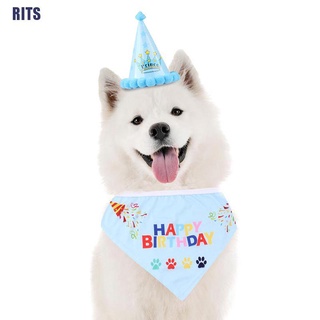 Pet Cat Dog Happy Birthday Party Crown Hat Puppy Bib Collar Cap Headwear Costume (8)