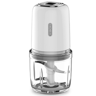 FL Oidire Baby Food Blender Mini Multifunctional Chopper Food Processor Griander for Baby Food with (1)