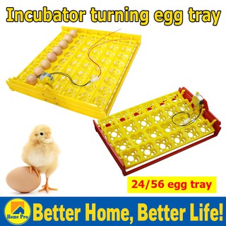 24/56 Eggs Mini Incubator Hatcher Automatic Egg Turning Tray Tool Motor Incubation Equipment Tool