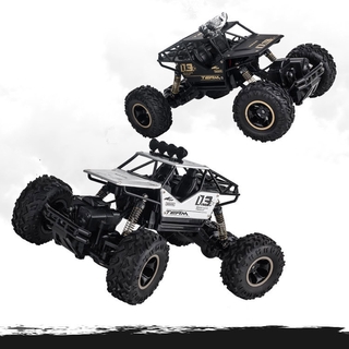 2.4Ghz Electric RC Toys Monster Truck Buggy Off-Road Toys Remote Control High Speed Vehicle 4WD
