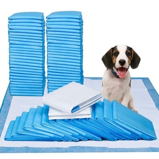 Socks & Paw Protectors☼Pet Potty Training Pad. Ideal Underpad for cat dog