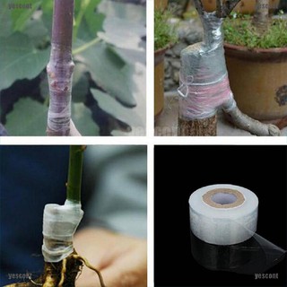 3cm*120m Self-adhesive Fruit Tree Grafting Stretchable Tape Garden Plants Tools（yescont）