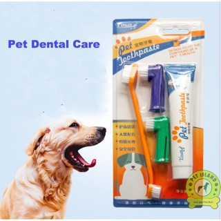Pet dental set / pet toothpaste / pet dog cat toothpaste with toothbrush set