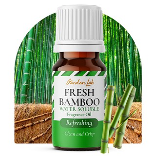 Garden Lab Fresh Cut Bamboo Fragrance Oils for Diffuser, Humidifier, Soap, and Candle Making