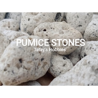 Pumice Stones (Monggo, Matanghito, Corn, Sand) 1KG - for Succulents, Cactus, Aquarium, Potting Mix