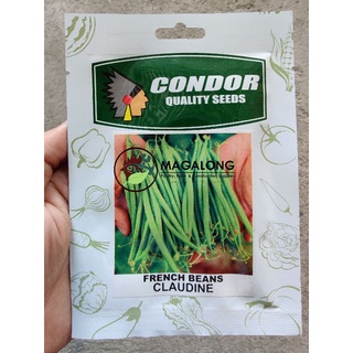 CONDOR SEEDS - FRENCH BEANS SEEDS - CLAUDINE 5 Grams