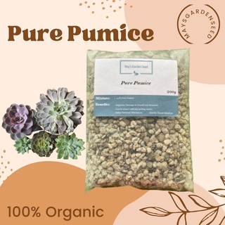 Mays Garden Seed | High Quality Pumice, Medium Size, Perfect for Succulent & Cactus, 200g