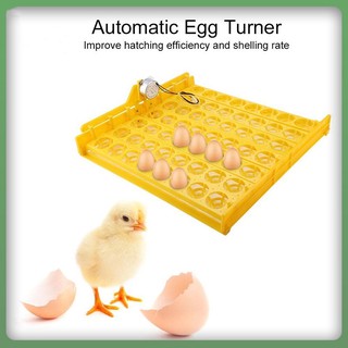220V 56 Eggs Incubator Poultry Incubator Hatcher Egg Hatchery Machine Automatic Egg Turning Tray (1)