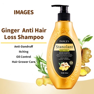 Ginger Anti Hair Loss Shampoo Scalp Treatment Anti-Dandruff Itching Oil Control Hair Grower Care