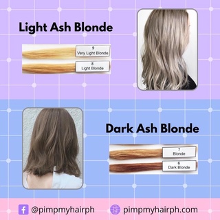 Sunbright Ash Hair Color Set (4)