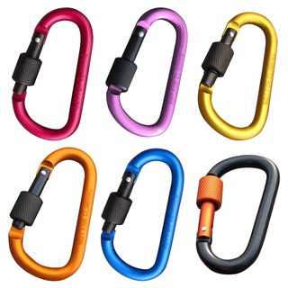 Carabiner D-Ring Shape Key Chain Clip Hook Camping Buckle