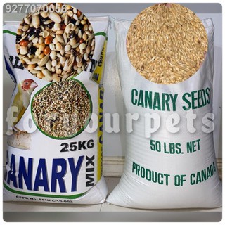 ♤✠✘Canary Seed PLAIN and Canary MIX Bird Food