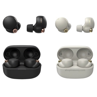 Sony WF-1000XM4 Noise Canceling Truly Wireless Earbuds (Global Version)