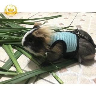 【Ready Stock】☞❏№Guinea pig guinea pig rabbit hamster mesh traction rope small pet traction belt rabb
