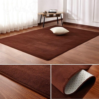 3 Colors Coral Velvet Carpet ​Solid Color Area Rugs Bedroom Living Room Floor Mats Non Slip Rectangular Size20x160CM /80X160CM