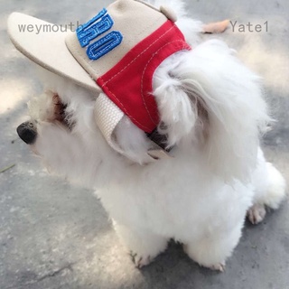 Ya We Summer Pet Dog Baseball Hat Alphabet Cap Small Dog Outdoor Canvas Hat