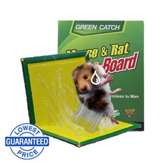 Green Card Power Mouse Rubber Sheet/mouse trap/traps/mouse character