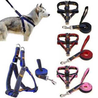 2pcs/Set Dog Harnes & Leash for Small/Medium/Large Dogs Denim Pet Leash Belt Traction Rope 1.2m & Ad