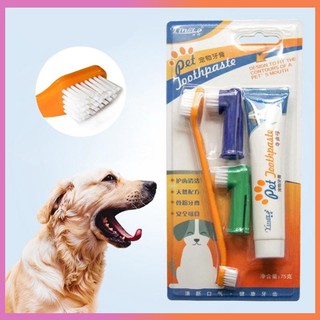 [Available]MiNiCO~Pet supplies cat dog toothbrush toothpaste set mouth cleaning care（Beef & Vanilla）