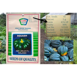 Squash vegetables/Malandi