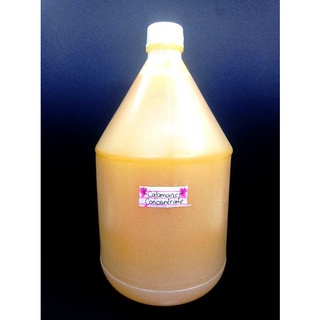 Calamansi Concentrate (1 Liter and 1 Gallon) direct manufacturer (Sweetened)