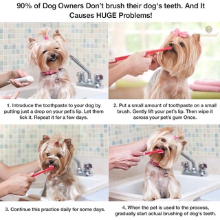 ✘◎viwsr7dx1cNunbell Oral Care Toothpaste for Pet Dog MInt Flavor pk60