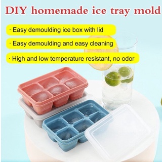 SJW Six-grid DIY homemade ice tray mold Ice Cube Molder