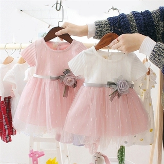 Summer girl mesh dress rose baby dress children's clothing