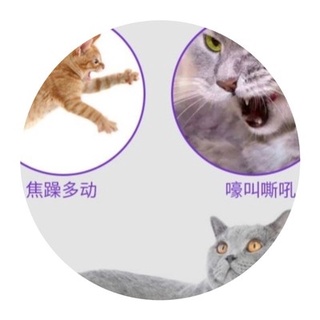 Cat Love Tablets MotherZAnti-Estrous Drugs for Cats, Male Cats, and Female Pets, Love Powder for Cat