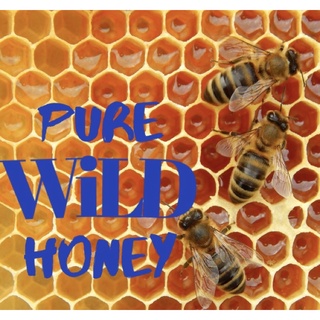 —- Pure WILD Honey —-