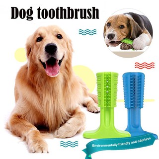 【Ready Stock】✣Dog Toothbrush Pet Brushing Stick Teeth Cleaning Chew Toy For Dogs Pet Oral Care