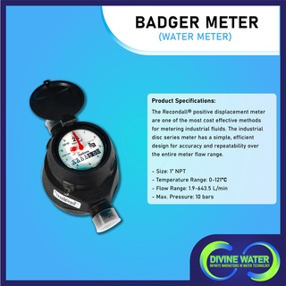 Badger Meter (Water Meter)