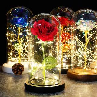 Beauty and the Beast Theme Rose Dome Eternal Flower Gifts