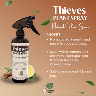 Thieves Plant Spray - Infused with Pure Essential Oils