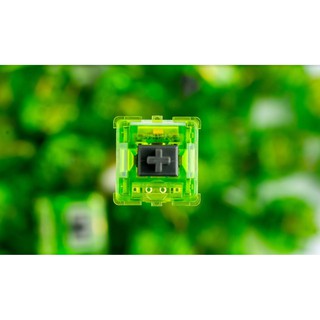C³ Equalz Kiwi Tactile Switches C3 Hot Swappable Mechanical Keyboard Key Caps Gaming Zion Studios PH