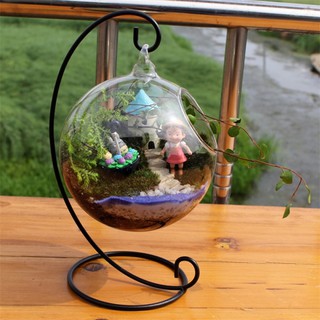 Creative Clear Glass Ball Vase Micro Landscape Air Plant Terrarium Succulent