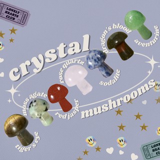 Real Mini Crystal Mushrooms (1)