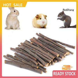 pet toyﺴ☎∈100/200g Pet Hamster Squirrel Rabbit Chew Stick Apple Tree Branch Molar Toy