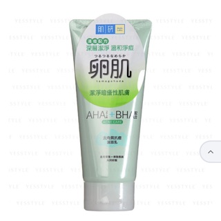 HADA LABO AHA + BHA Face Wash - Mild Peeling, Acne Care or Oil Control - 130g (2)