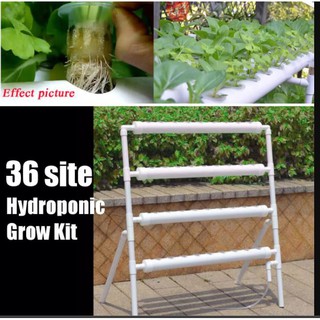 36 Holes Hydroponics Grow System - High Quality NFT System PVC Pipes - Indoor Grow Kit Plant SItes