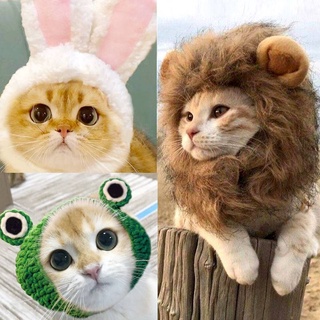 Leisure house Pet lion hood Pet transformer hats Pet hoods Dog hats Cat hats Pet transformers Pet ac (1)
