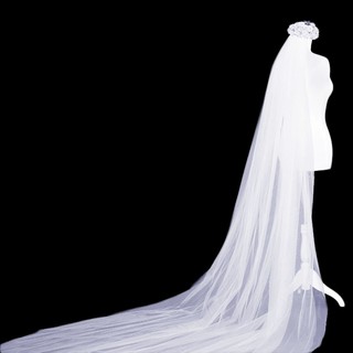 Wedding Bridal Party Mesh Yarn 3M Long 1T Tiur Bride Floor Gown Veil (7)