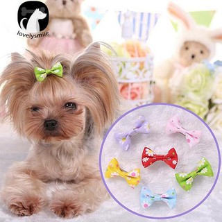 NEW+6 Pcs Dog Cat Puppy Hair Clips Hair Bow Tie Flower Bowknot Hairpin Pet Grooming